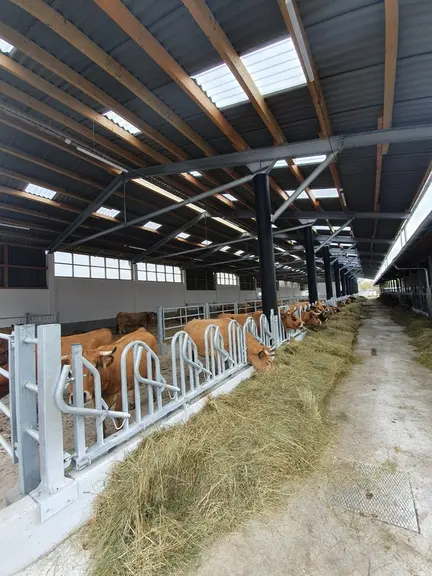 La race aubrac fait son chemin en terres slovaques dans l’élevage charolais et aubrac Slovensko