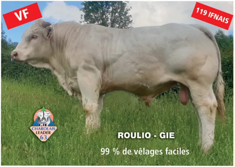 Le GIE était présent à l’édition 2023 du Salon de l'Agriculture avec Rodrigue, un de ses derniers achats, Parthenon et Nefertiti, deux produits d’un d