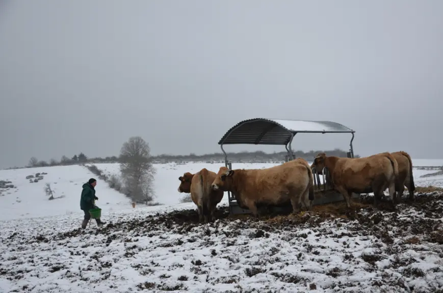 Un sous-sol granitique et un sol argilo-sableux portants et drainants permettent la conduite en plein air intégral du troupeau sur un plateau venté à