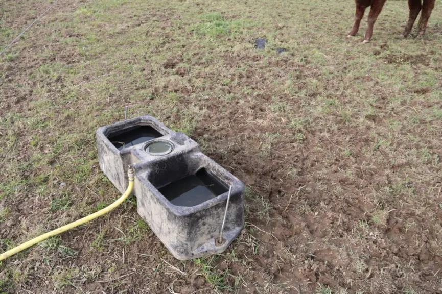 Pour l’abreuvement des animaux, les éleveurs ont opté pour des abreuvoirs de 60 litres.
