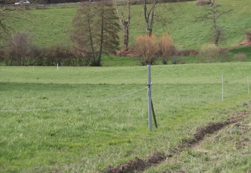 Les piquets en bois installés en début de ligne arrivent aujourd’hui en fin de vie. La famille Murzeau les remplace petit à petit par des Y en fer. L’