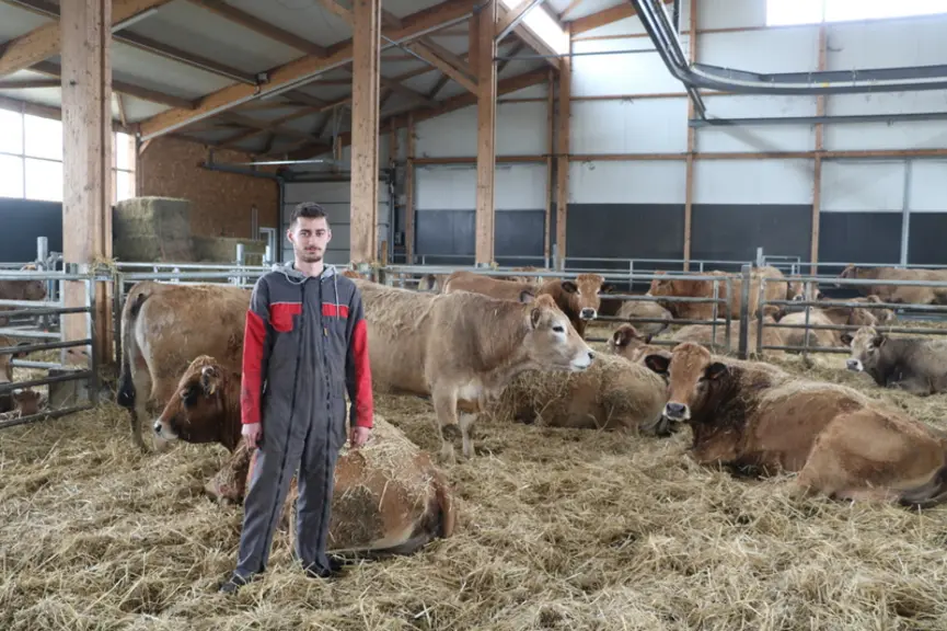 L'appareil permet à Valentin Chardayre de pailler les 660 m2 de stabulation du bout des doigts en moins de dix minutes, sans déranger le troupeau.