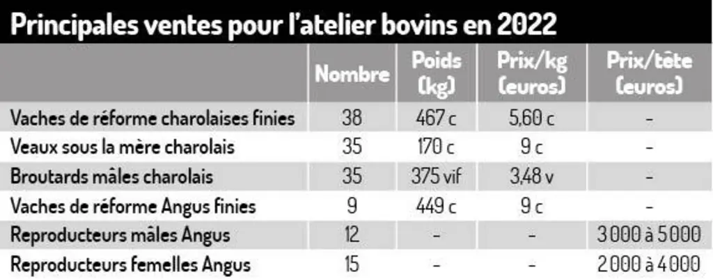 Jouer sur la complémentarité de deux troupeaux charolais et angus