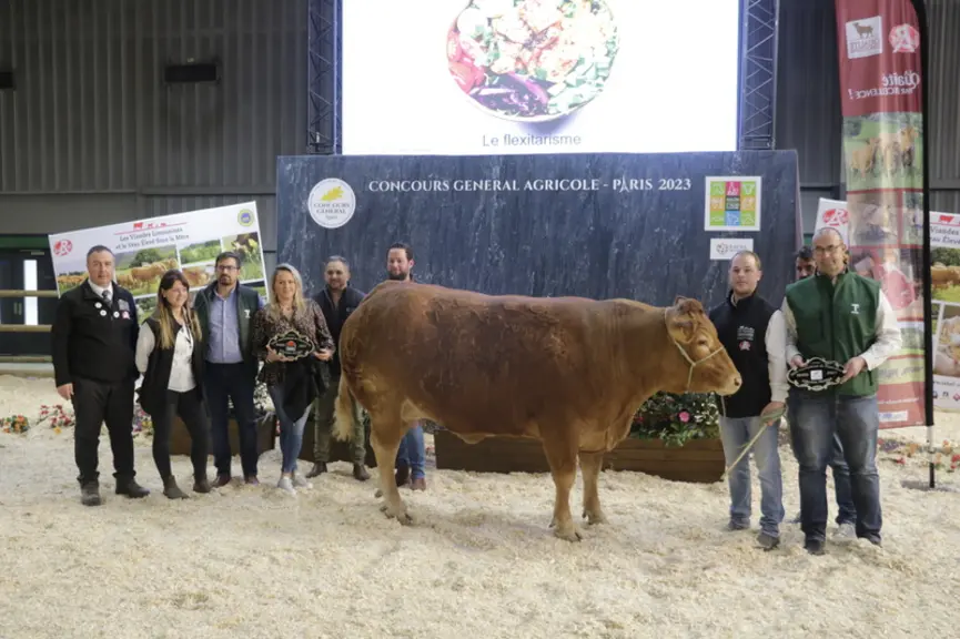 Nymphe, du Gaec du Rocher (Lot) a été vendue 8 600 € à la boucherie des Eleveurs à Cahors (Lot) et au Carrefour à Brive (Corrèze). Cette vache de cinq