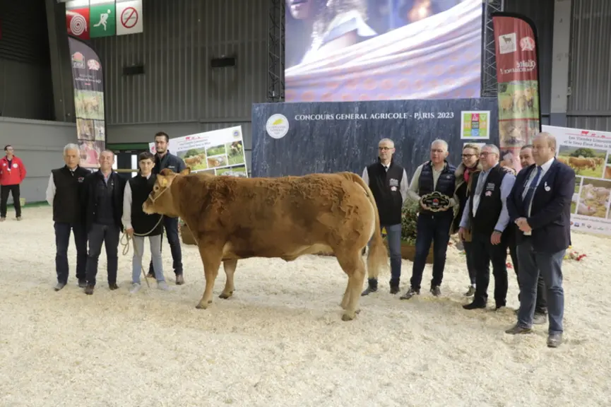 Manille, de l'élevage de Jean-Jacques Bros (Corrèze), a été adjugée 7 000 € à la boucherie Gastel à Saint-Romain-le-Puy (Loire). Cette vache née en 20