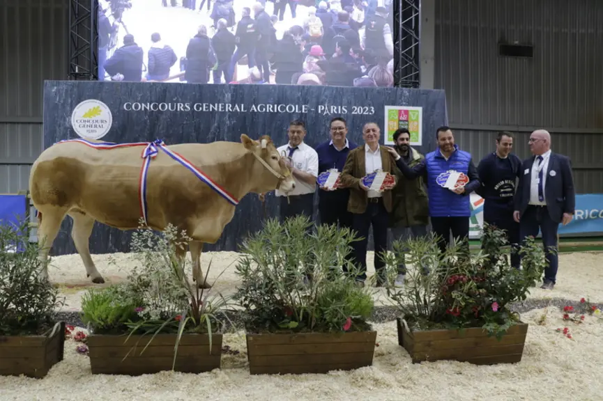 Omerta, de la SCEA Sazy Elevage (Tarn-et-Garonne), a été adjugée 22 €/kgc à Antoine Martin, boucher dans l'Aude. Cette vache de quatre à l'éclatement