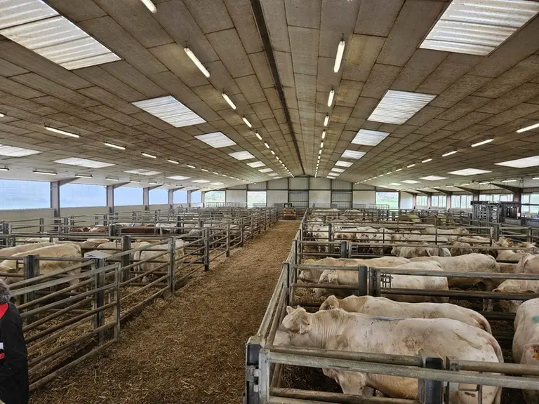Les bâtiments ont été construits avec une belle hauteur sous plafond de façon à accueillir un maximum de lumière. L'ambiance dans les locaux est ainsi