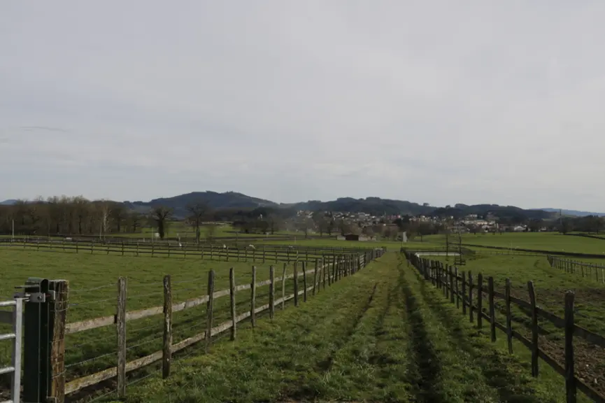 Dix-sept parcs extérieurs répartis sur 10 à 15 hectares entourent les bâtiments sur le site de Curbigny.