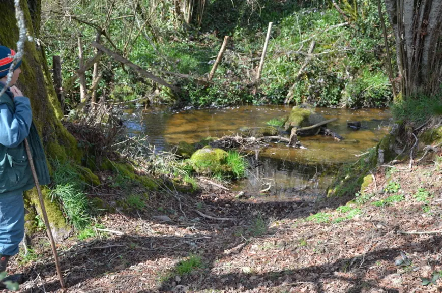 Toutes les parcelles de pâture ont un accès à l’eau en espaces aménagés sur les confluents de la Dronne : une clé du système.