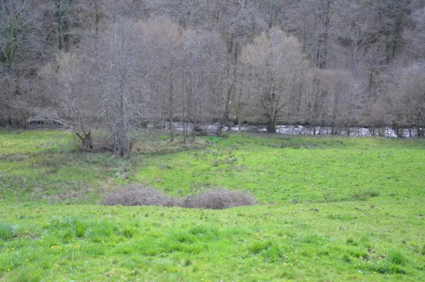 La totalité des surfaces sont des prairies naturelles dont 8 ha en zone humide classés Natura 2000.