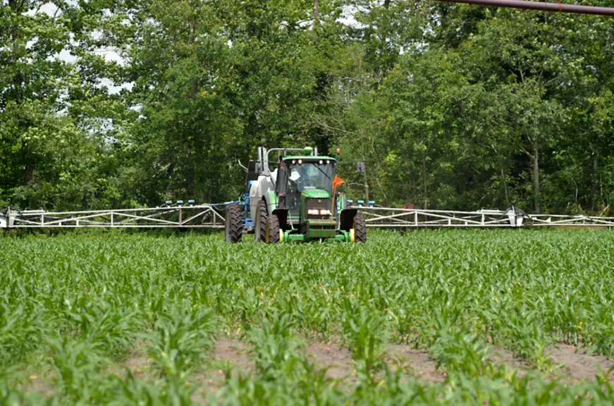 Traitement sur maïs. Tracteur, pulvérisateur et rampe. Produit phytosanitaire. Pesticides. Désherbage de post-levée ?