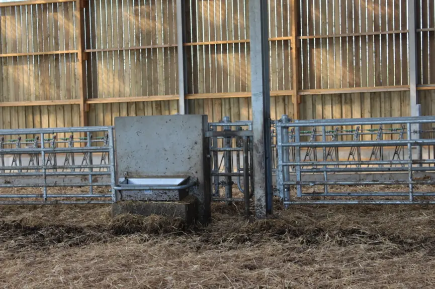 Les abreuvoirs sont des bacs (100 litres pour cases de 30 vaches et 50 litres pour cases de 15 vaches). Ils sont équipés d'une vidange vers un puits p