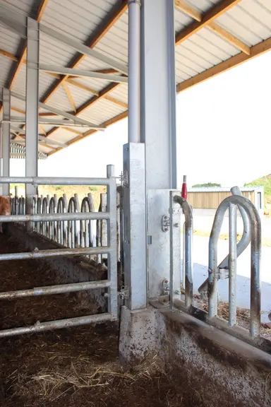 Les gouttières en plastique sont protégées par un coffrage en métal carré et ne font pas obstacle dans le couloir d’alimentation au passage des engins