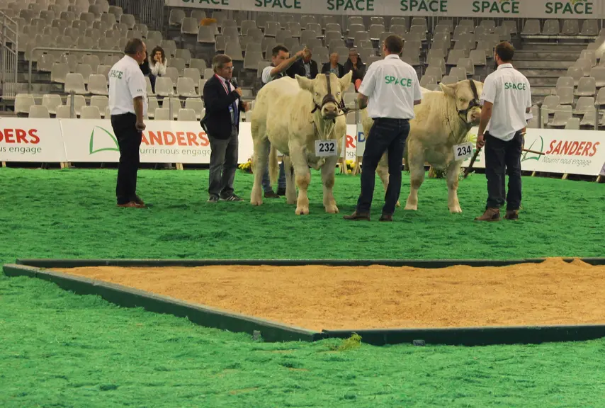 space concours charolais