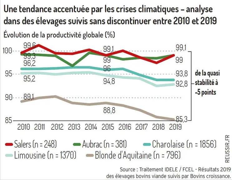 graph productivité globale par race réseaux d'élevage