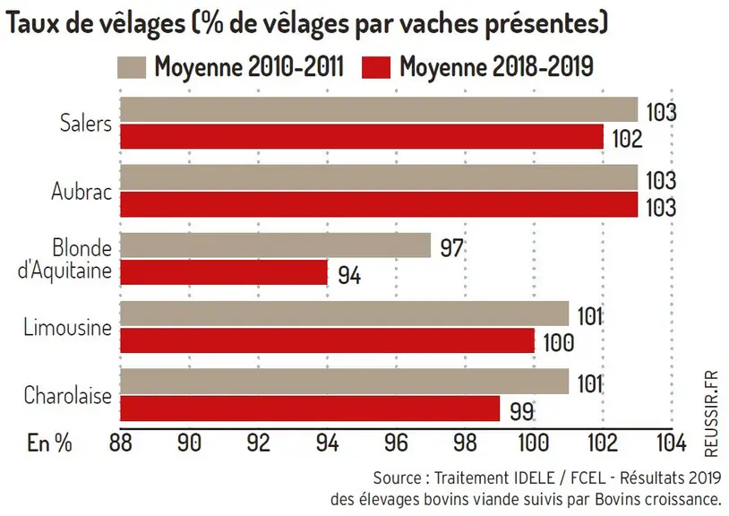 taux de vêlages moyen par race reproscope 2018-2019