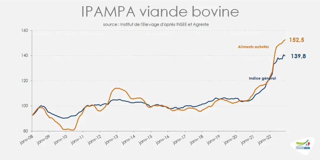 Ipampa viande bovine