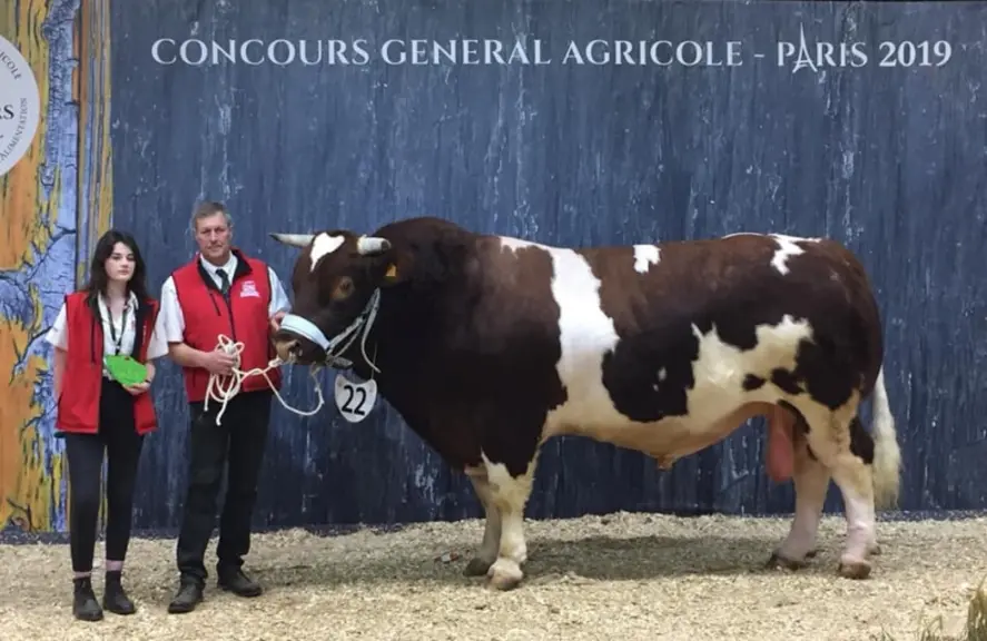 Ice Cream champion Rouge des Prés SIA 2019