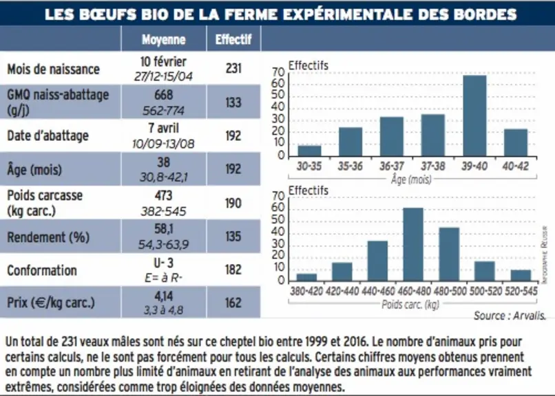 graph boeufs bio ferme des Bordes Arvalis