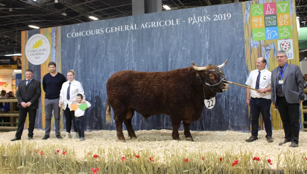 Jocker rappel de championnat Salers Paris 2019