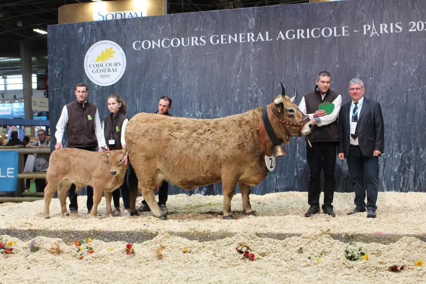 concours général agricole aubrac salon de l'agriculture