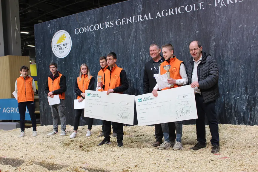 concours de jeunes pointeurs race Aubrac