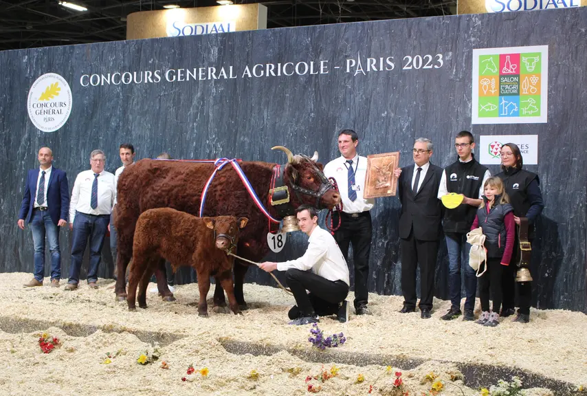 championne salers salon de l'agriculture