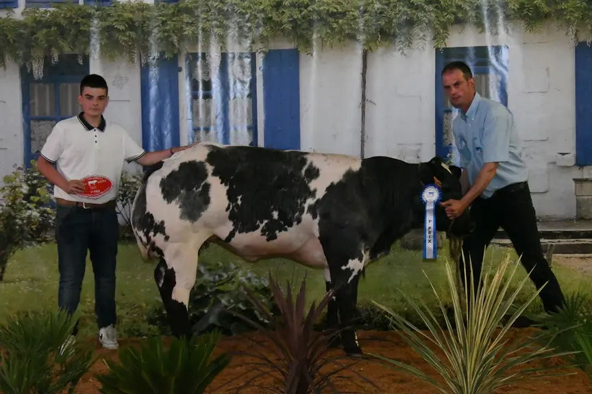 concours national Blanc Bleu