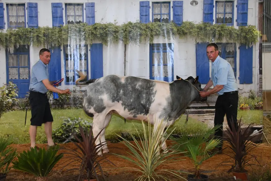 concours national Blanc Bleu
