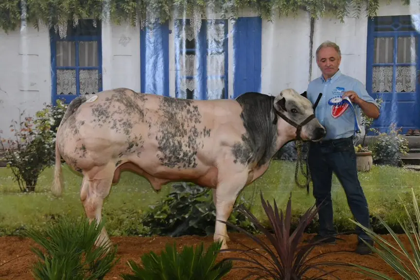 concours national Blanc Bleu