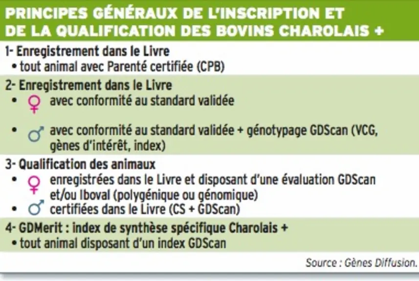 tableau inscription et qualification des animaux pour Charolais +