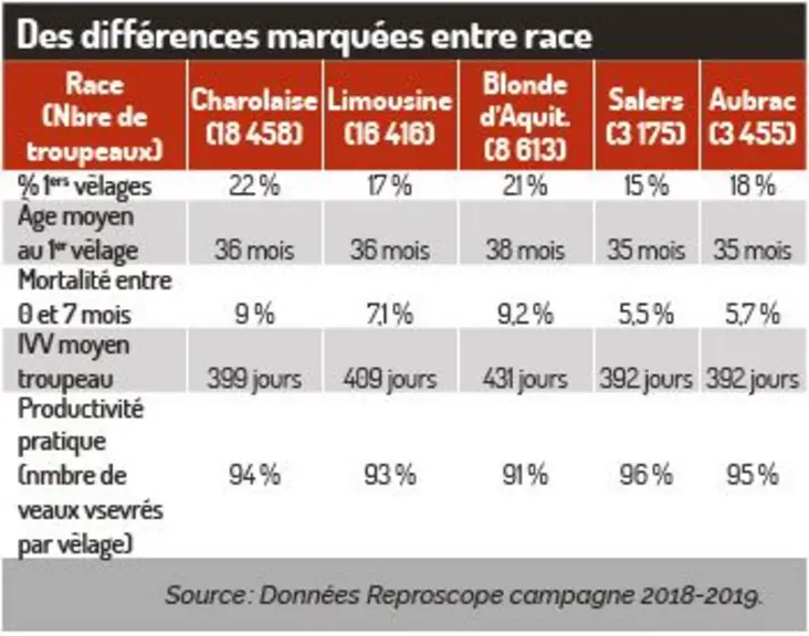 tab reproscope races à viande