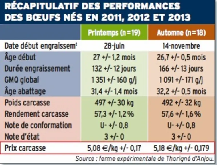 tab bilan des lots de boeufs à la ferme expéirmentale bio de Thorigné d'Anjou