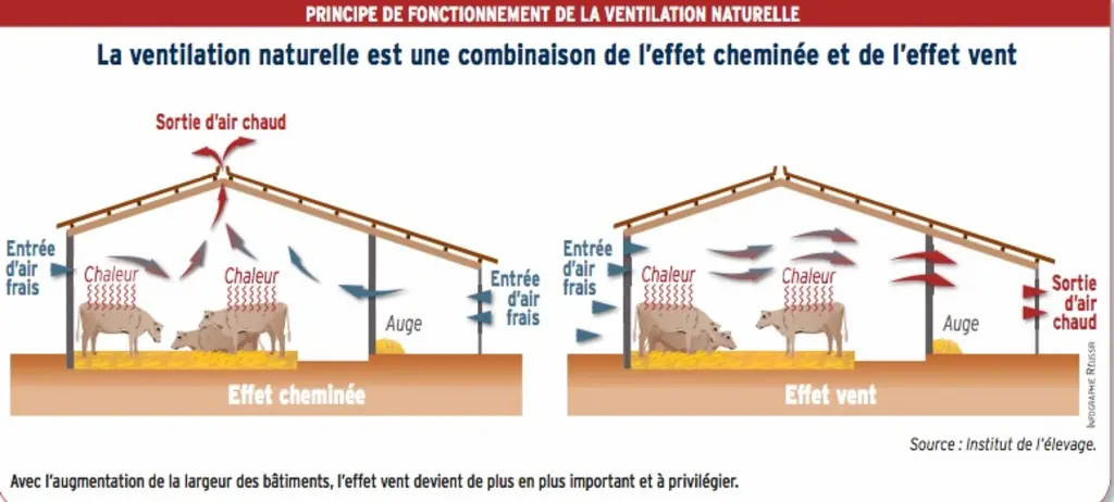 infographie principe ventilation naturelle