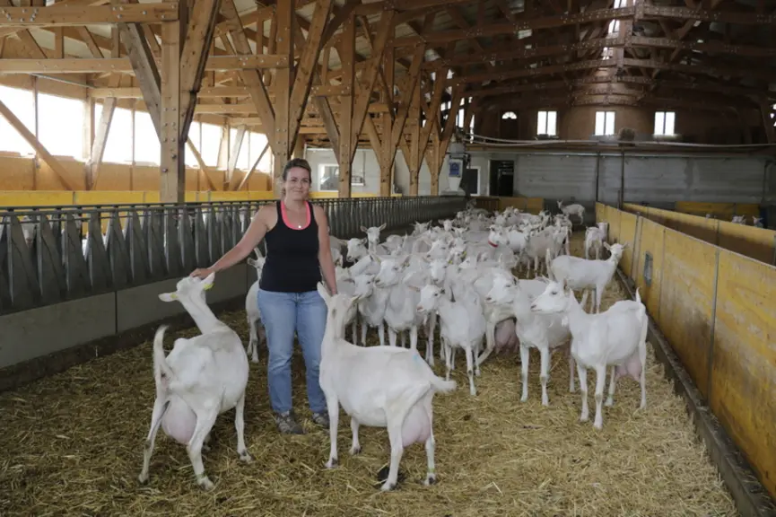 La création d'un atelier caprin sur l'exploitation familiale a tout de suite plu à Elsa Silve, qui a rejoint le Gaec en tant qu'associée à la suite de