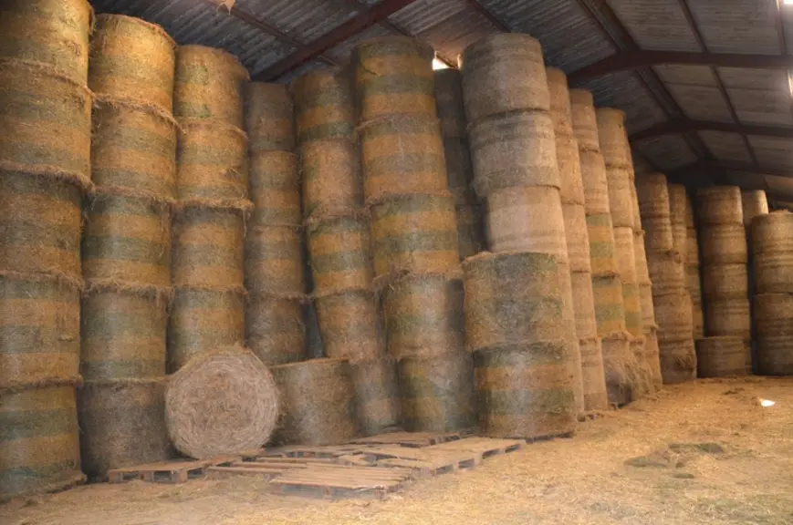 Des balles stockées et déstockées avec une griffe rotative