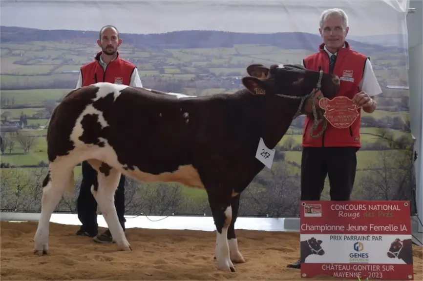 Prix de championnat jeune femelle IA : Tanche, de chez Emmanuel Mary, dans l'Eure