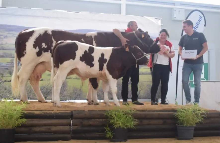 Prix de championnat femelle adulte IA : Neptune, de la SCEA Ferme de la Cense, dans l'Oise