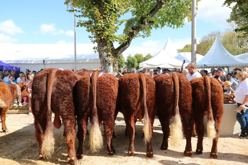 concours salers
