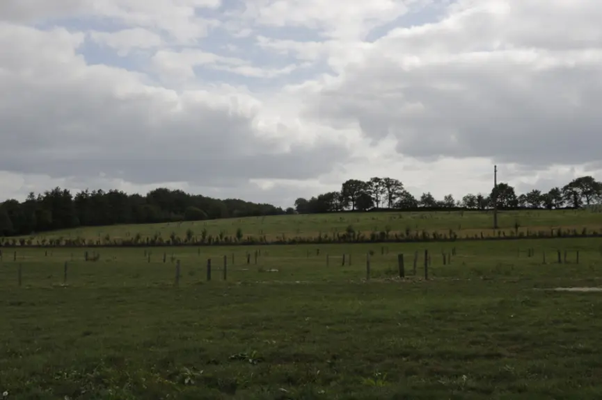 Des investissements ont aussi été engagés sur les différentes fermes pour planter des haies bocagères ou encore restaurer des cours d'eau, avec la cré