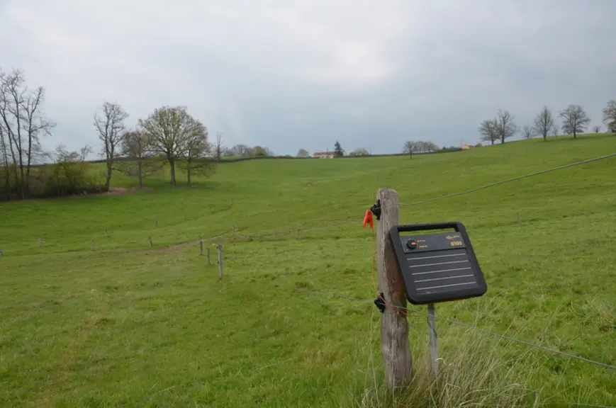 La première parcelle décomposée en cinq paddocks est complètement opérationnelle. Tout a été pensé selon la topographie du terrain et leurs potentiali