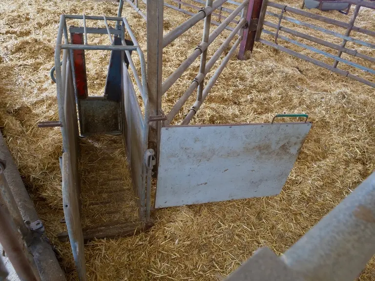Une porte pour la cage à veau et une barrière autoportée pour déplacer les animaux sans se fatiguer