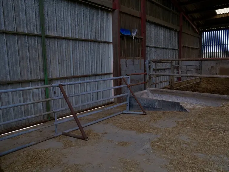 Une porte pour la cage à veau et une barrière autoportée pour déplacer les animaux sans se fatiguer