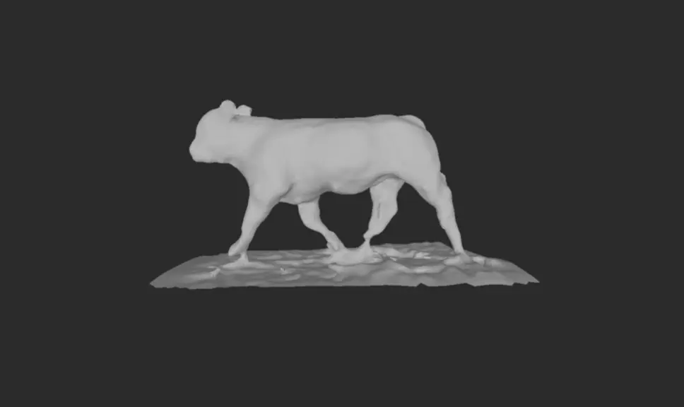 Le projet PHENO3D vise à mettre au point un dispositif de traitement automatisé (intelligence artificielle) et en temps réel d’images 3D pour extraire