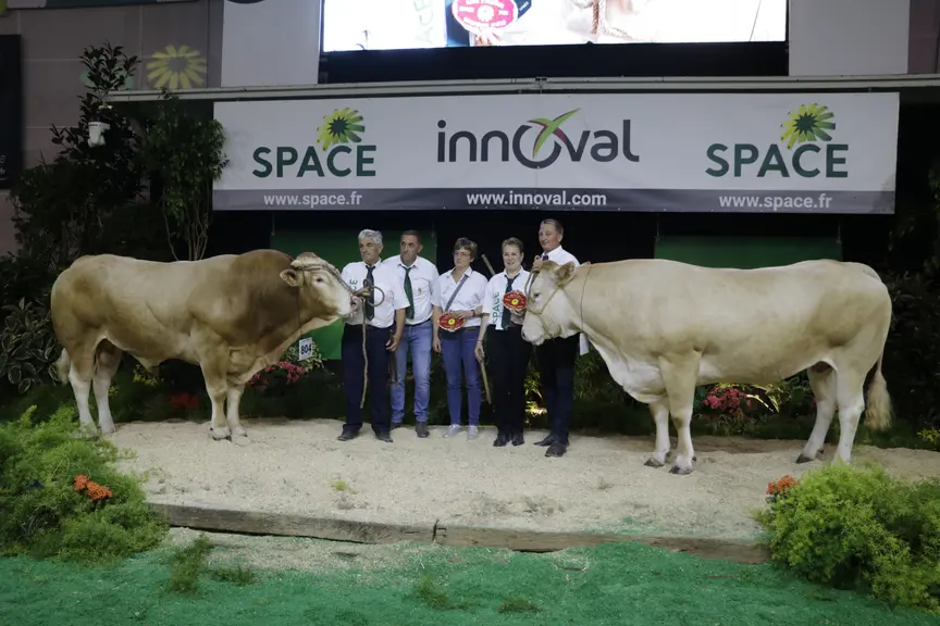 space concours blonde d'Aquitaine