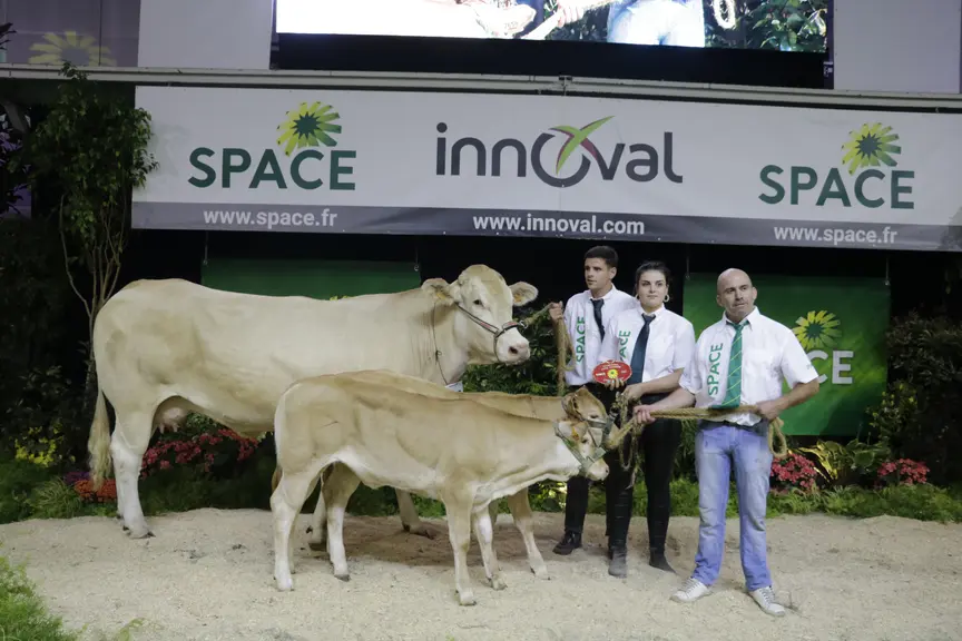 space concours blonde d'Aquitaine