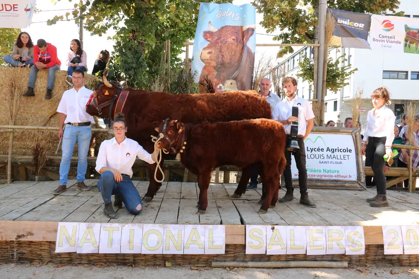 concours salers
