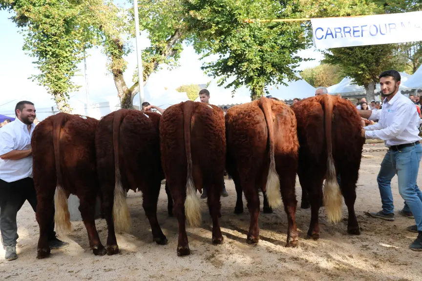 concours salers