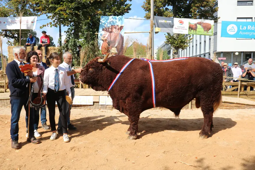 concours salers