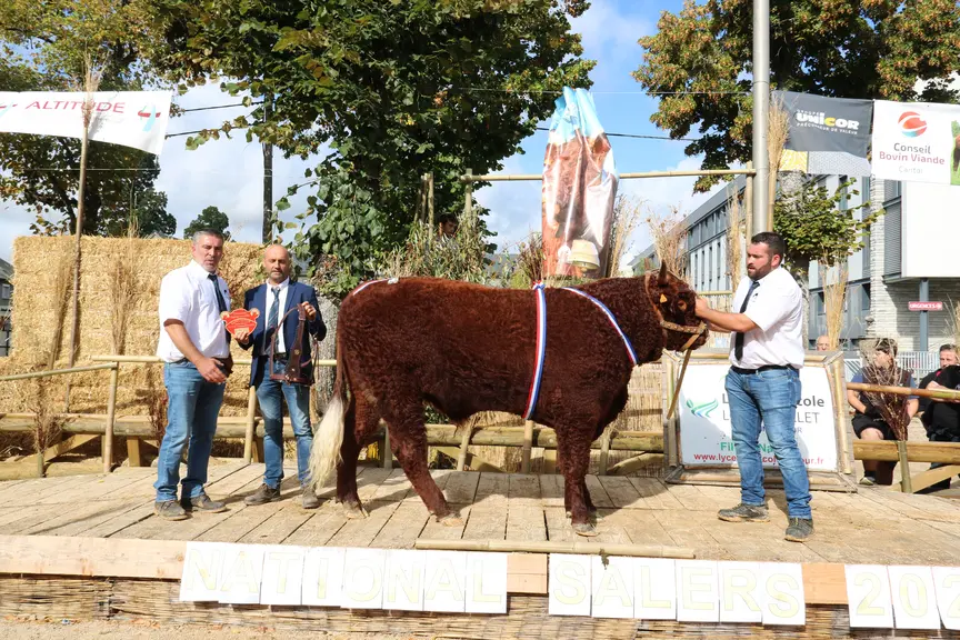 concours salers